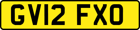 GV12FXO