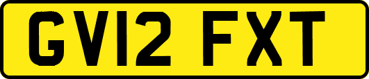 GV12FXT