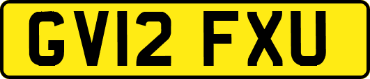 GV12FXU