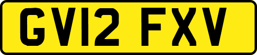 GV12FXV