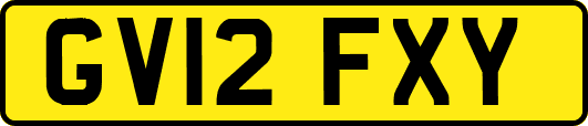 GV12FXY