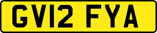 GV12FYA
