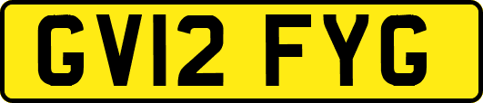 GV12FYG