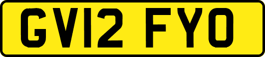 GV12FYO