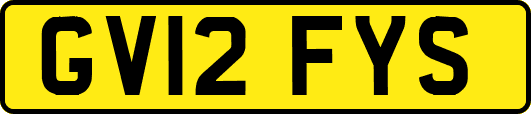 GV12FYS