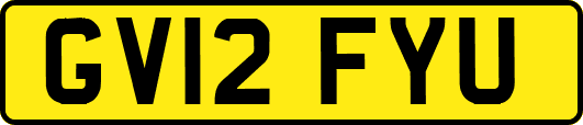 GV12FYU