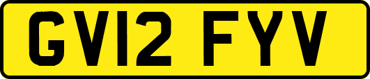 GV12FYV