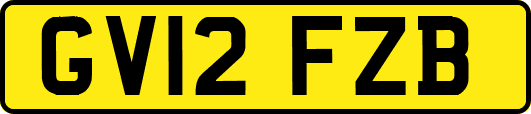 GV12FZB