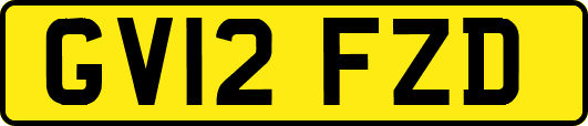 GV12FZD