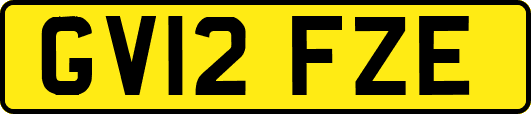 GV12FZE