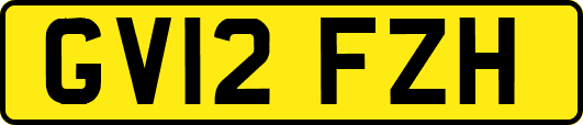 GV12FZH