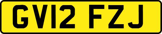 GV12FZJ