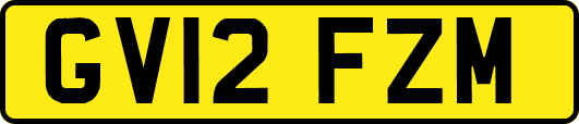 GV12FZM