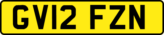 GV12FZN