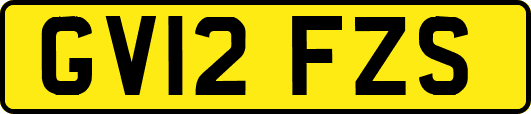 GV12FZS
