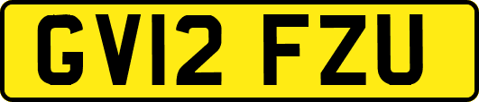 GV12FZU