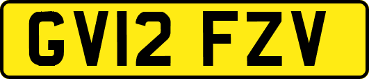GV12FZV