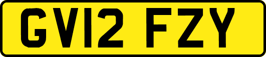 GV12FZY