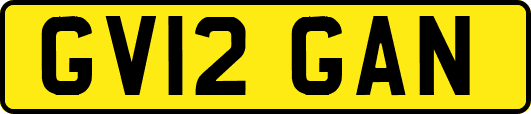 GV12GAN
