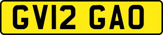 GV12GAO