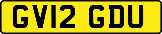 GV12GDU
