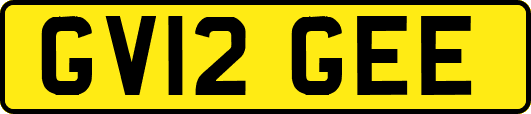 GV12GEE