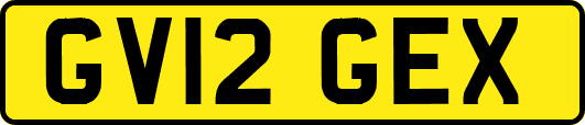 GV12GEX