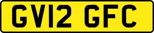 GV12GFC