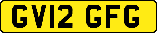 GV12GFG