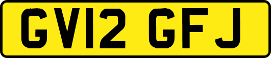 GV12GFJ
