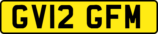 GV12GFM