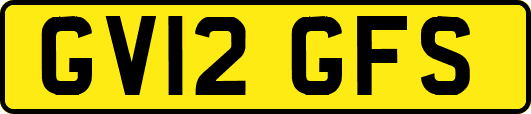 GV12GFS