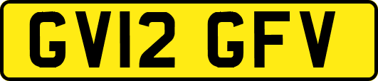 GV12GFV