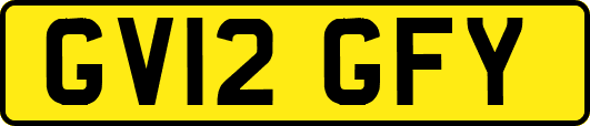 GV12GFY