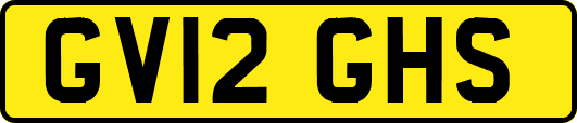 GV12GHS