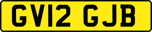 GV12GJB