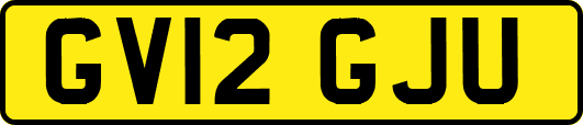 GV12GJU