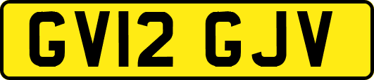 GV12GJV