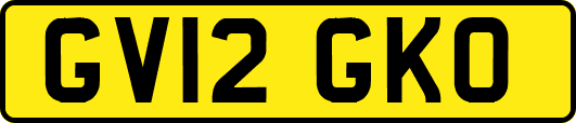 GV12GKO