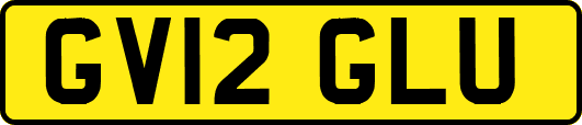 GV12GLU