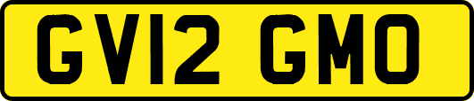 GV12GMO