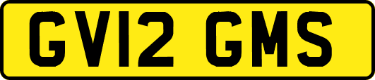 GV12GMS