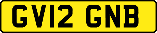 GV12GNB