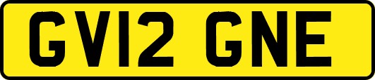GV12GNE