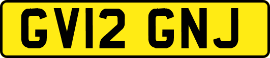 GV12GNJ