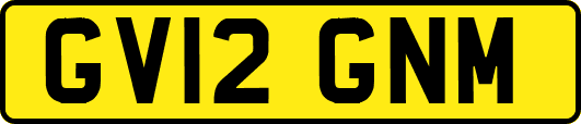 GV12GNM