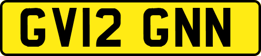 GV12GNN