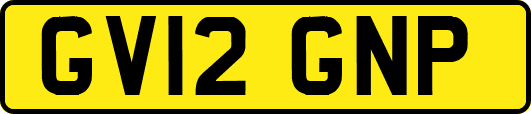 GV12GNP