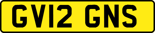 GV12GNS