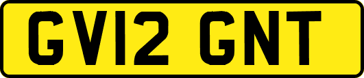 GV12GNT